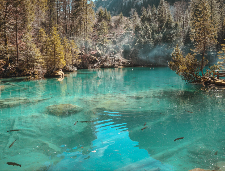 1650615358650133.png 微信截图_20220401133602.png